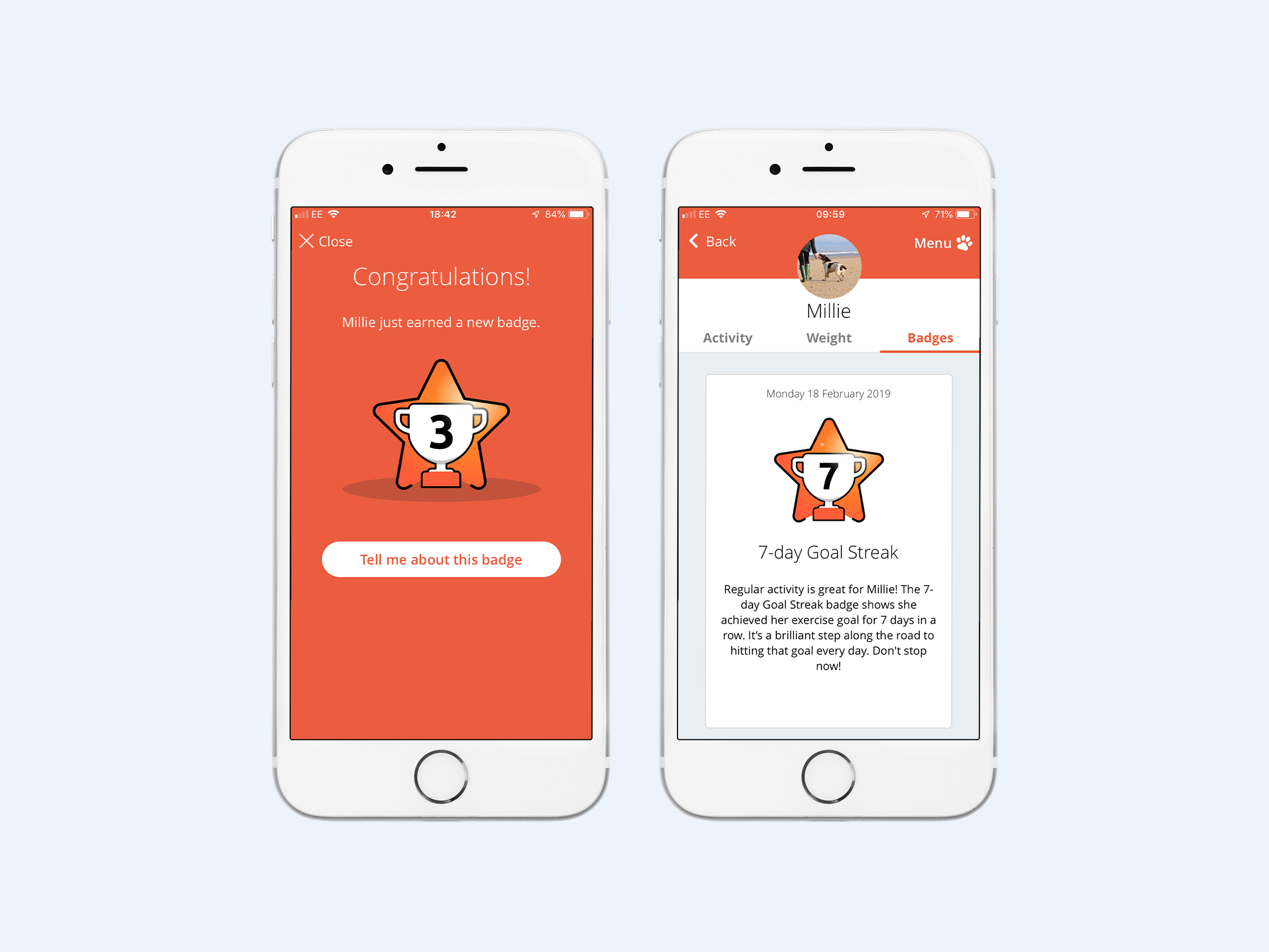 ©-2019-Alison-Norden_PitPat_Goal streak badges