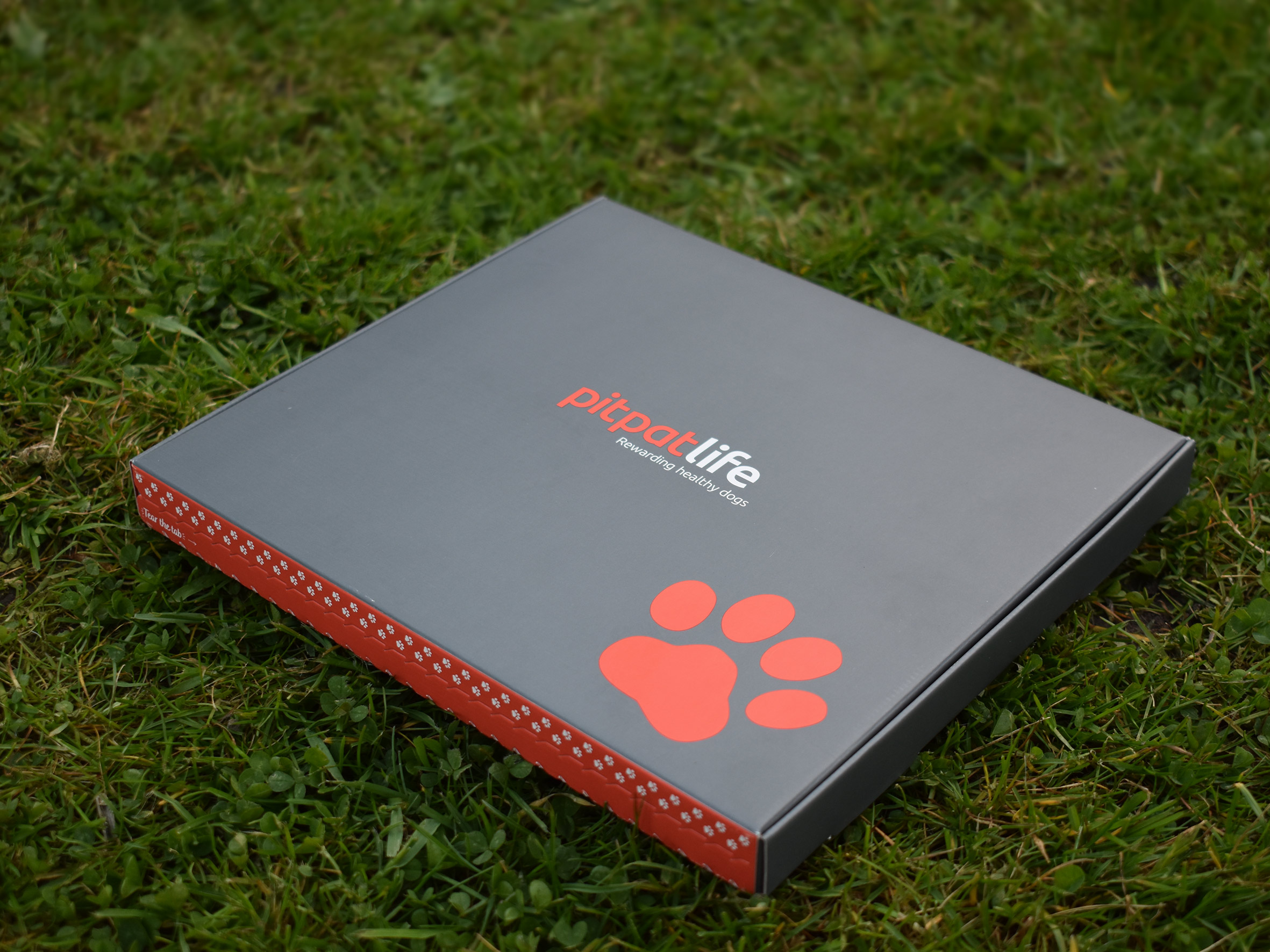 Ali-Norden_PitPat-Life-Launch_London-Dog-Week_Box-Packaging