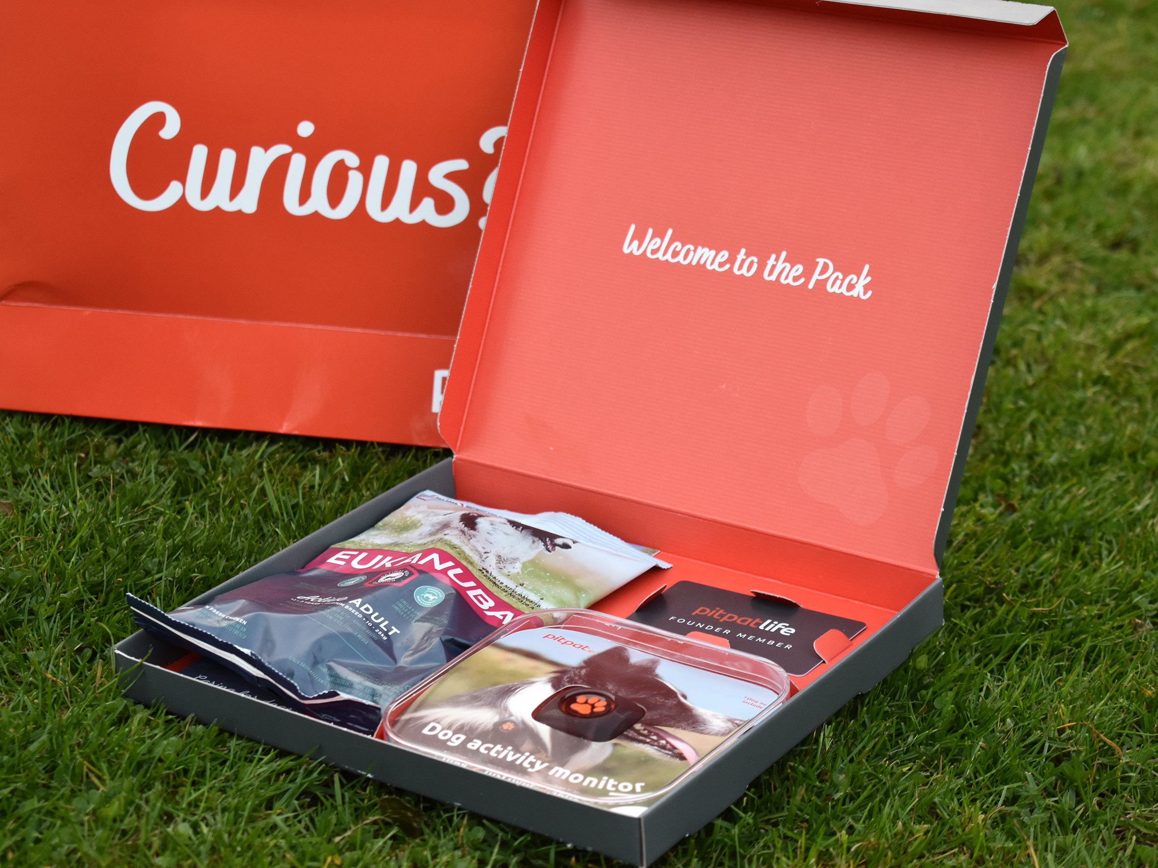 Ali-Norden_PitPat-Life-Launch_London-Dog-Week_Box