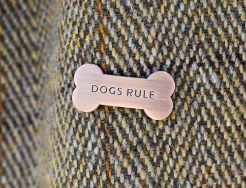 Dogs Rule