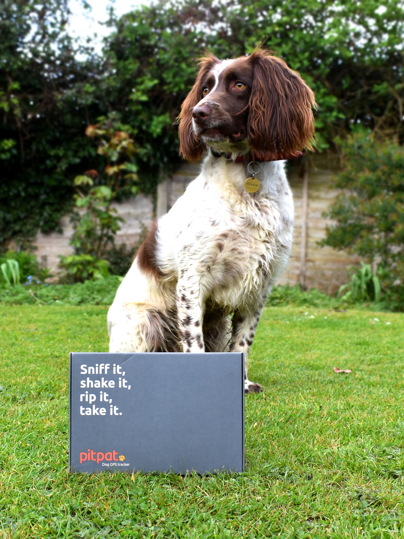 cAli-Norden_2022_PitPat_GPS-Tracker_Packaging-and-Moo